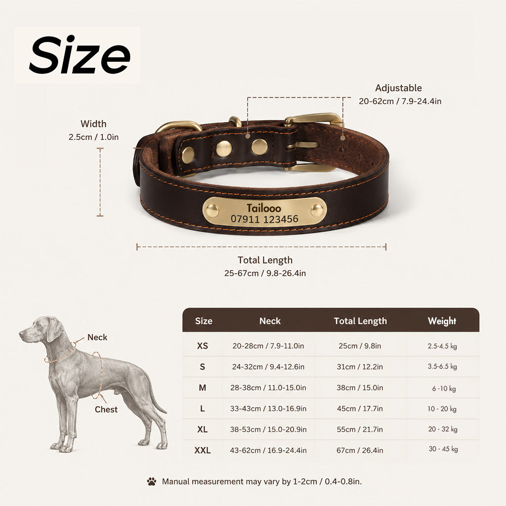 Tailooo leather dog collar size chart showing XS to XXL neck girth, total length, and recommended dog weight from 2.5kg to 45kg, with illustrated dog body measurement guide.