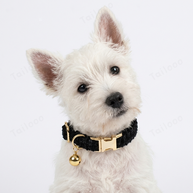 Custom Dog Collar with Engraved Nameplate & Bell（Black） Main Image