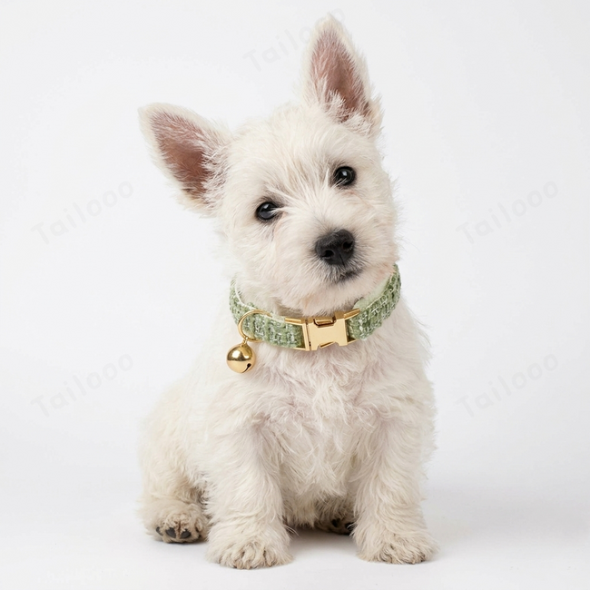 Custom Dog Collar with Engraved Nameplate & Bell（Green） Main Image