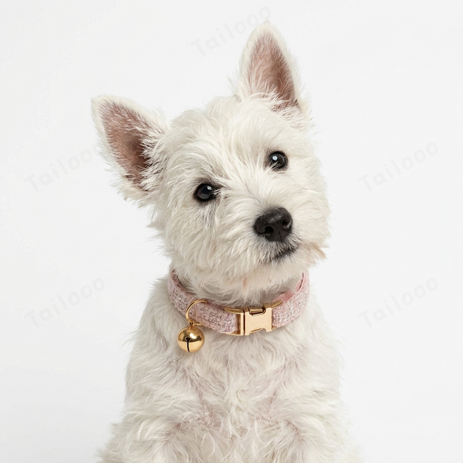 Custom Dog Collar with Engraved Nameplate & Bell（Pink） Main Image