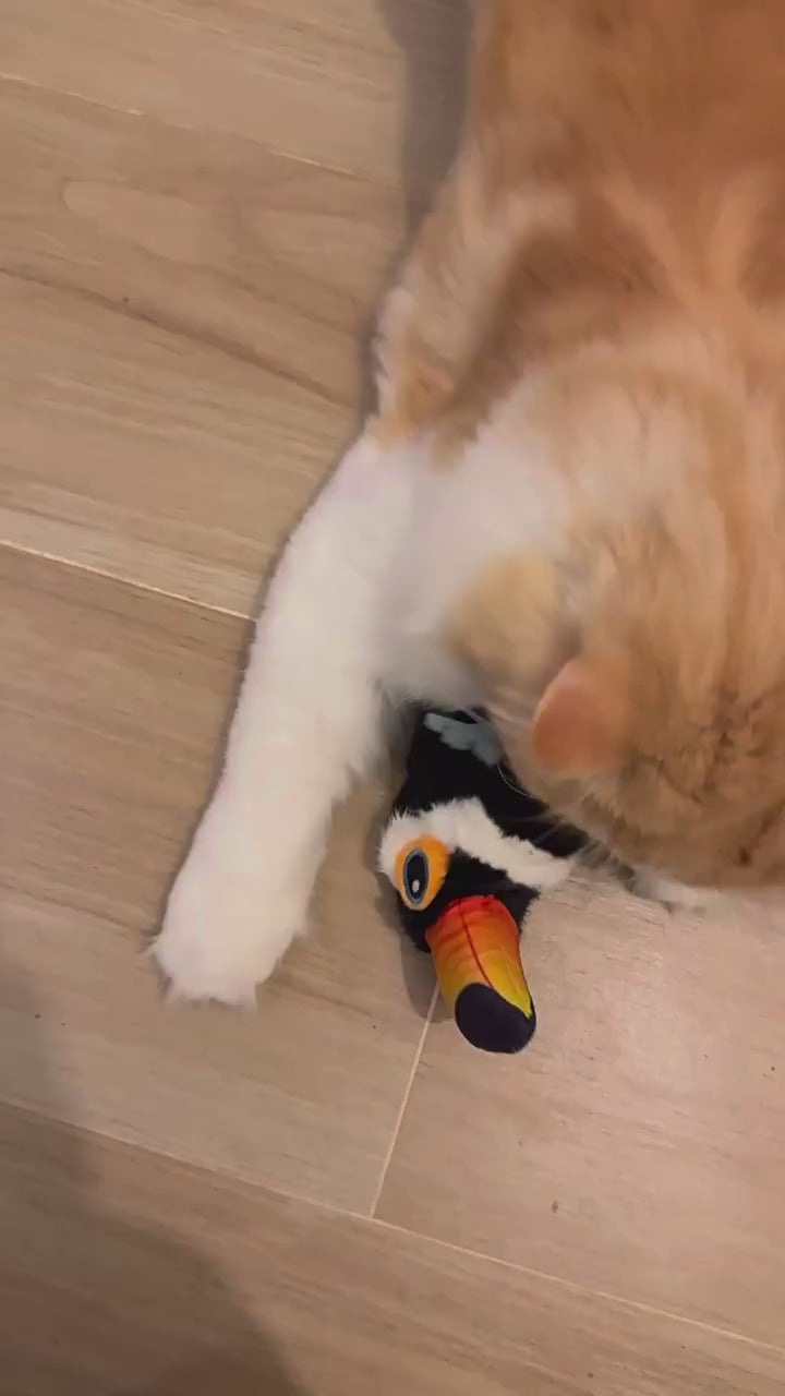 Watch this interactive flying bird cat toy in action! Features realistic flapping wings and touch-activated chirping sounds to keep your indoor cat engaged and active. Perfect for exercise and preventing pet boredom. Easy to hang and highly durable for aggressive players.