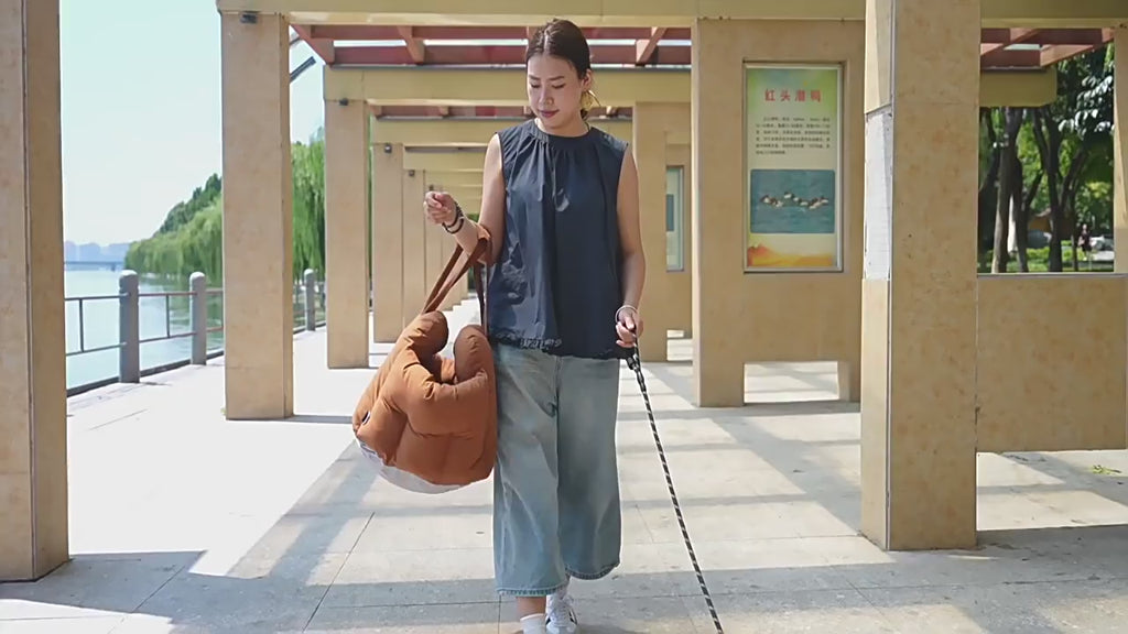 Beige portable dog car seat and universal pet safety carrier for front seat travel, featuring built-in safety leash and comfortable booster design for small dogs.