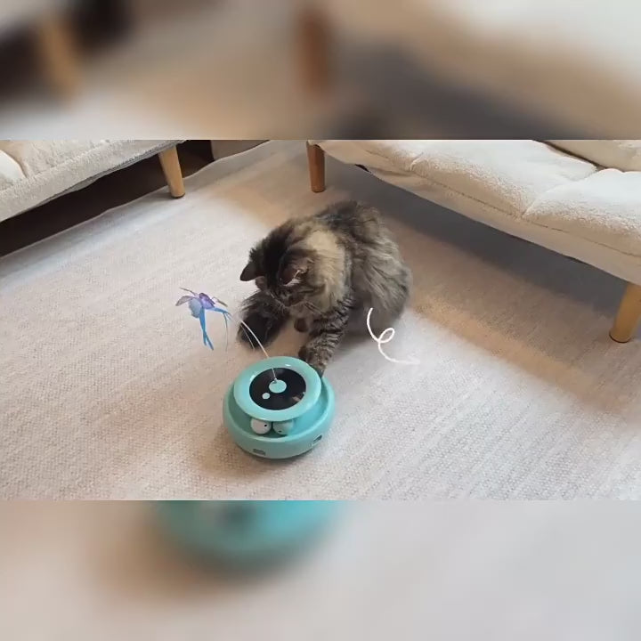 Electronic cat toys keeping pets active and entertained in a home living room, offering a hands-free play experience.