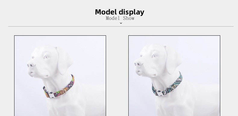 quick-release-metal-buckle-dog-collar3