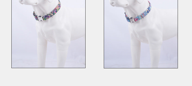 quick-release-metal-buckle-dog-collar5