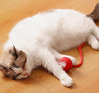 Solve dog boredom and destructive chewing with this interactive enrichment toy that keeps high-energy pets busy for hours.