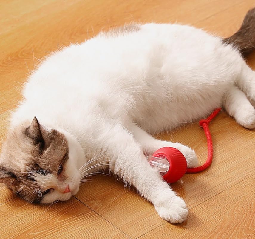 Solve dog boredom and destructive chewing with this interactive enrichment toy that keeps high-energy pets busy for hours.