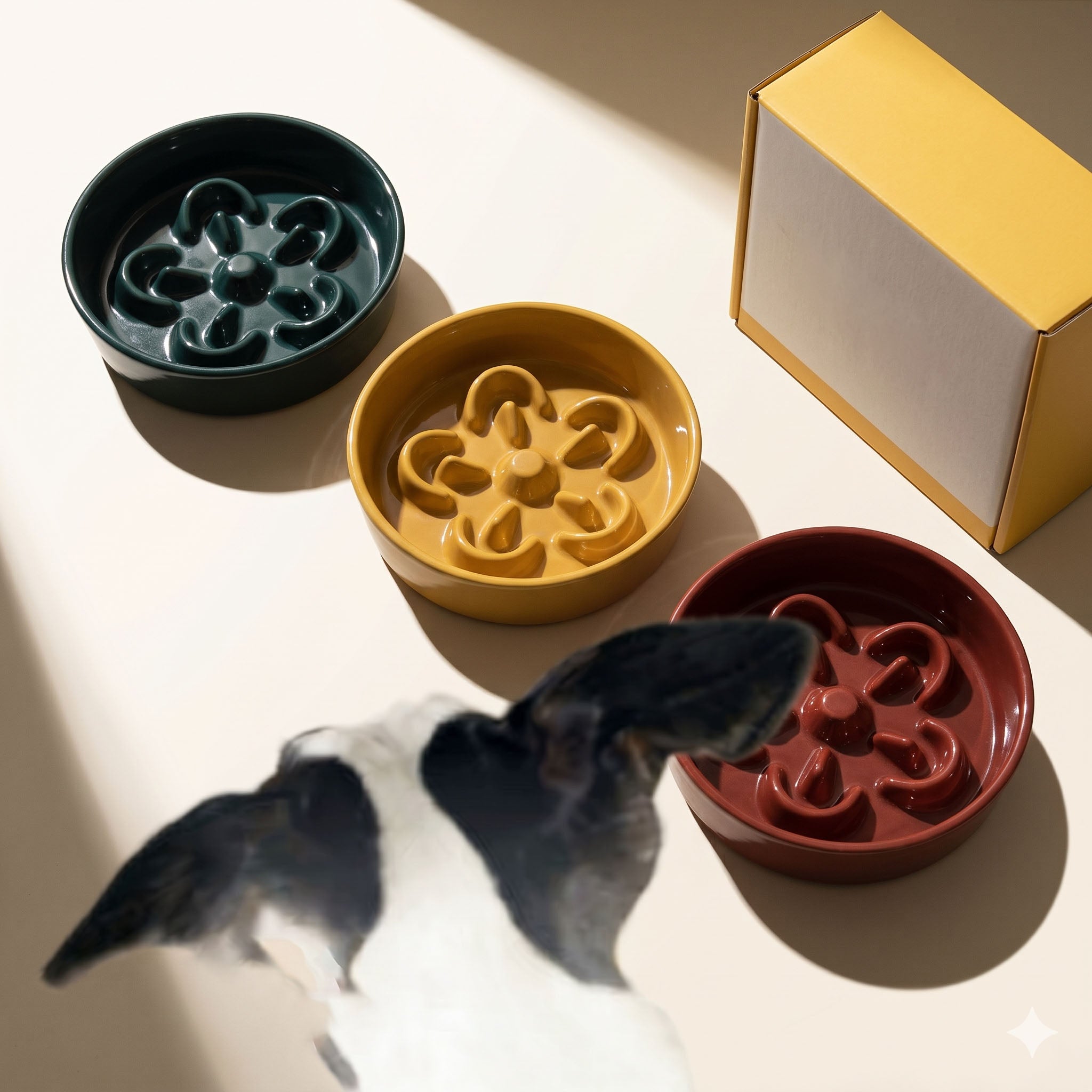 Three ceramic slow feeder dog bowls in forest green, mustard yellow, and rust red displayed together with a gift box and a dog eating from the red bowl.