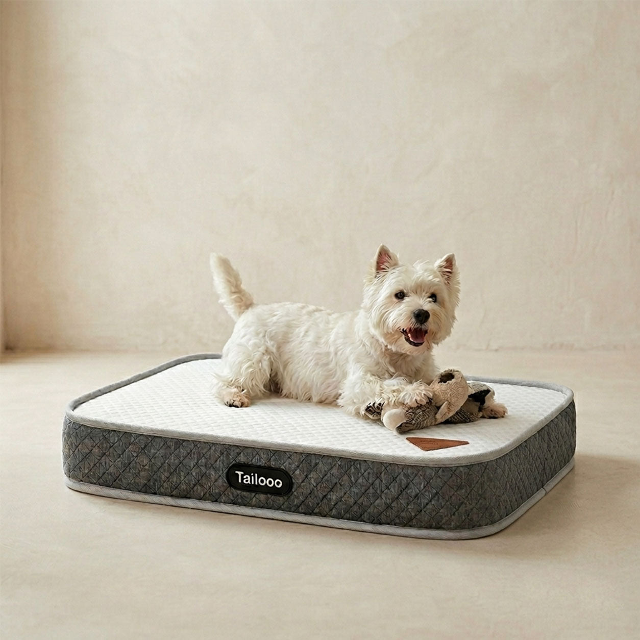 A happy West Highland Terrier playing with a toy on a Tailooo orthopedic dog bed in a warm beige room, showing comfortable everyday use.