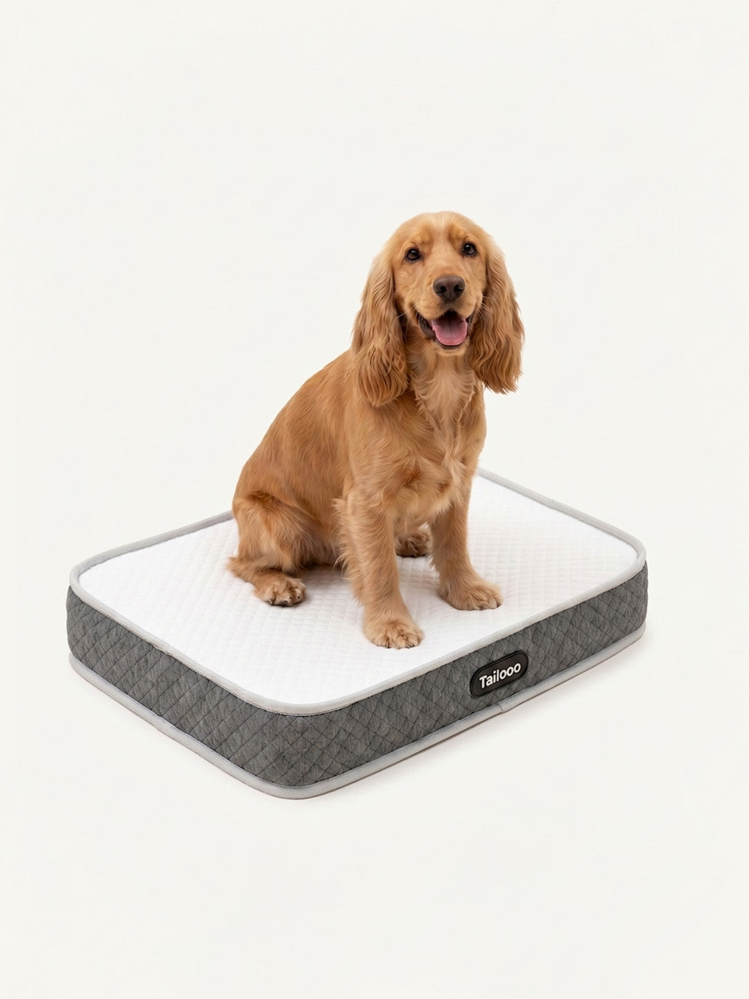 Cocker Spaniel sitting comfortably on a large orthopedic dog bed, a supportive mattress for joint health and restful sleep.