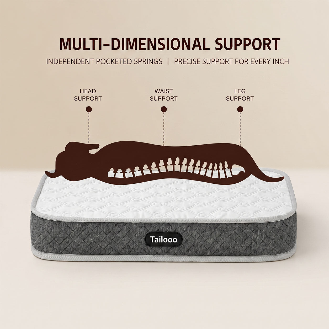 Tailooo orthopedic dog bed infographic showing multi-dimensional support with independent pocketed springs providing head, waist, and leg zone support for dogs.