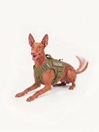 Trail Dog Harness with lightweight, durable construction and adjustable fit, designed for safe, comfortable hiking, camping and outdoor adventures with dogs.