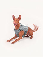 Dog Hiking Harness designed for mountain trails, offering a secure fit and comfortable control for confident hiking with active dogs.