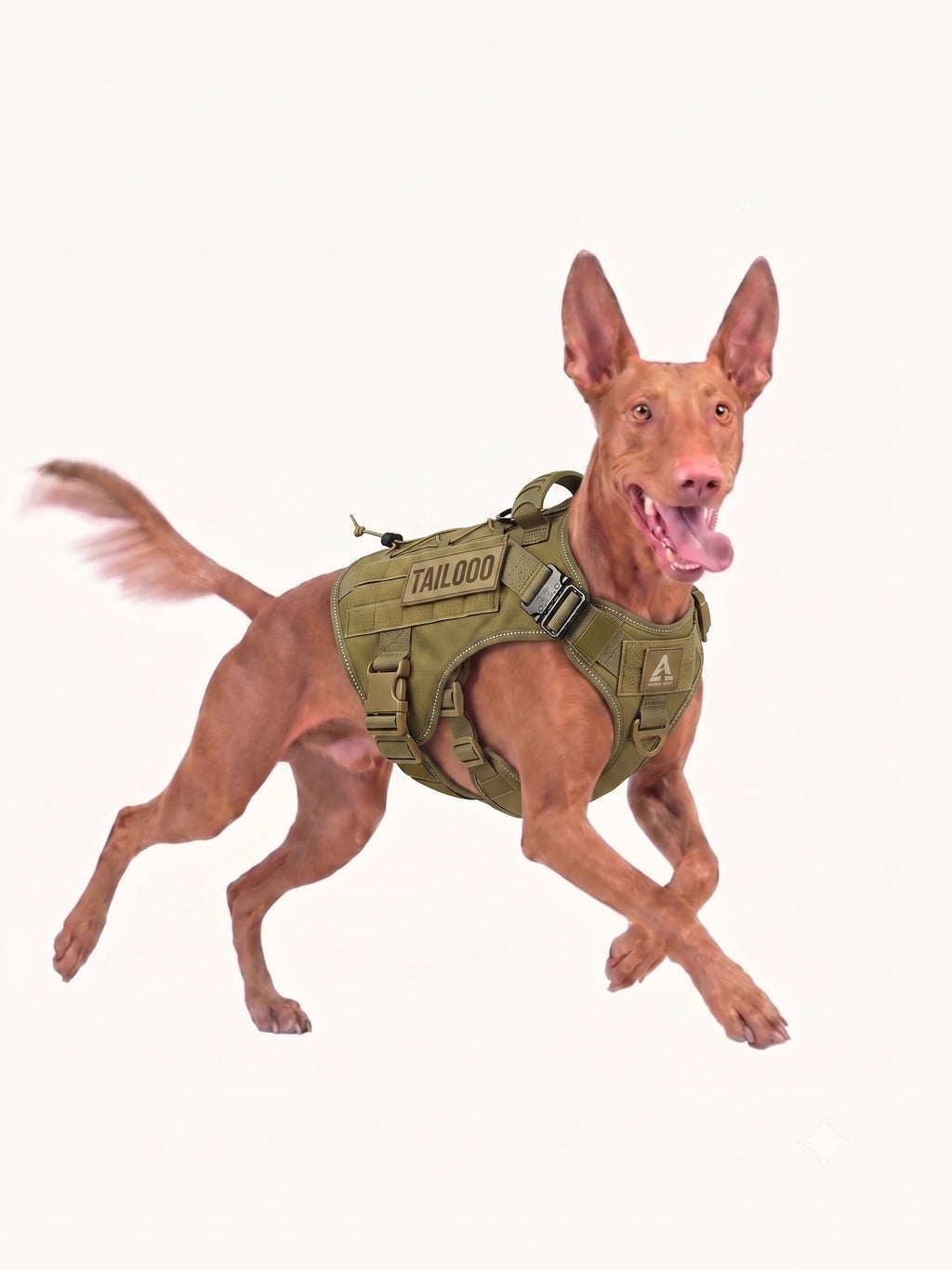 Trail Dog Harness delivers stability and comfort for outdoor adventures, helping active dogs explore trails with confidence and safety.