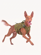 Trail Dog Harness  · Dune