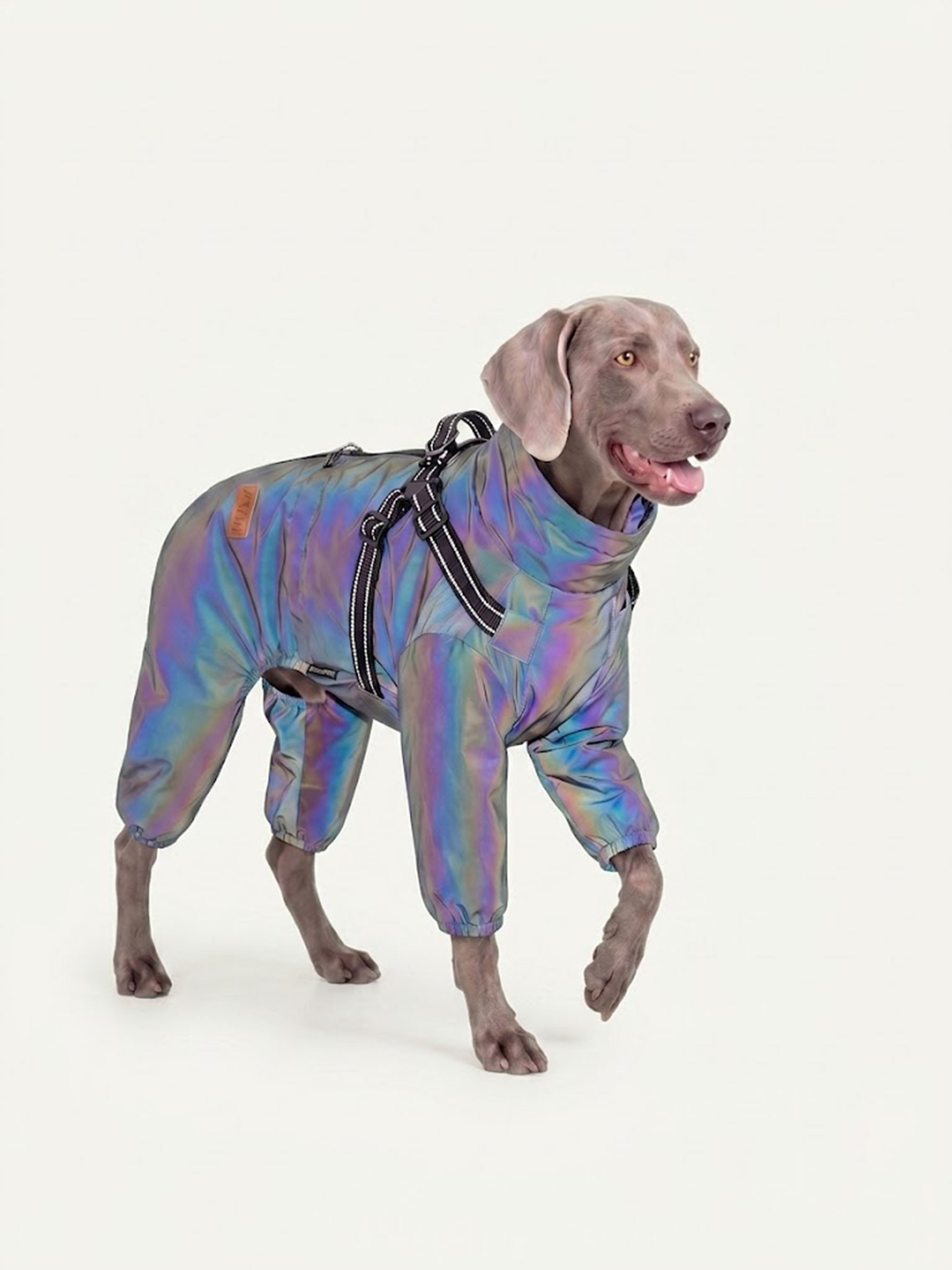 Waterproof Full-Body Dog Rain Coat · Holographic Secondary image