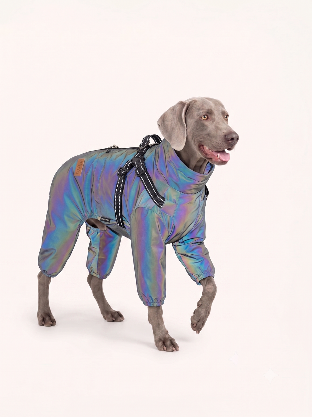 Waterproof Full-Body Dog Rain Coat · Holographic