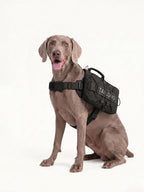 Weimaraner sitting with an adjustable dog pack, a versatile dog hiking pack with multiple pockets for gear.