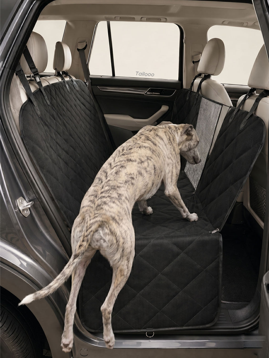 Whippet climbing into a black quilted dog seat for car, showcasing the easy-access design of this dog car seat cover.