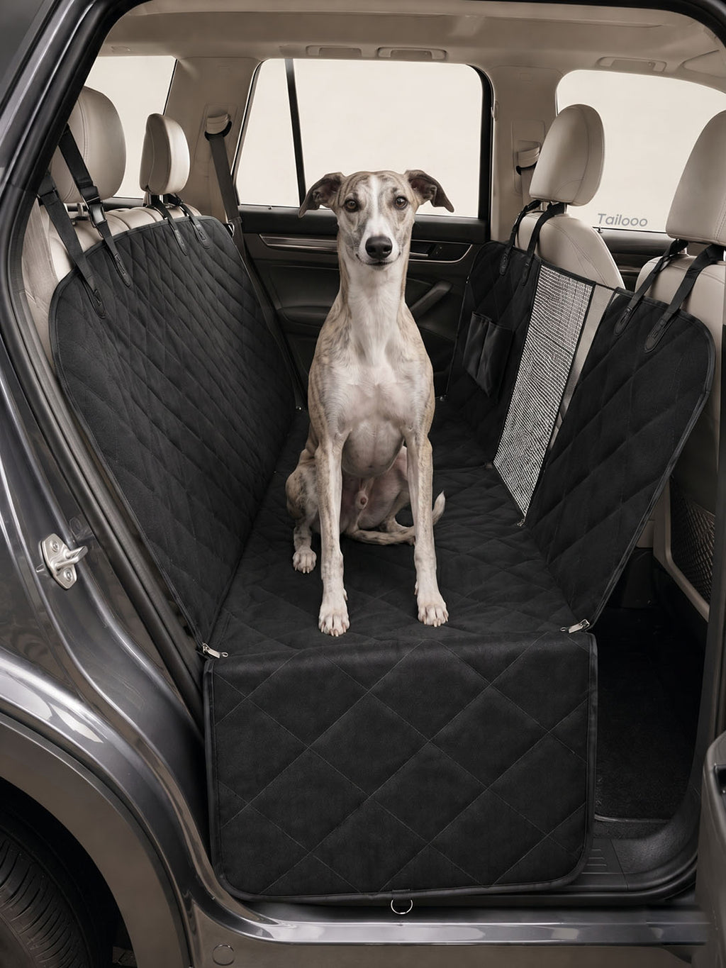 Whippet sitting upright on a padded dog safety seat car, providing a secure and comfortable space for pets during car rides.