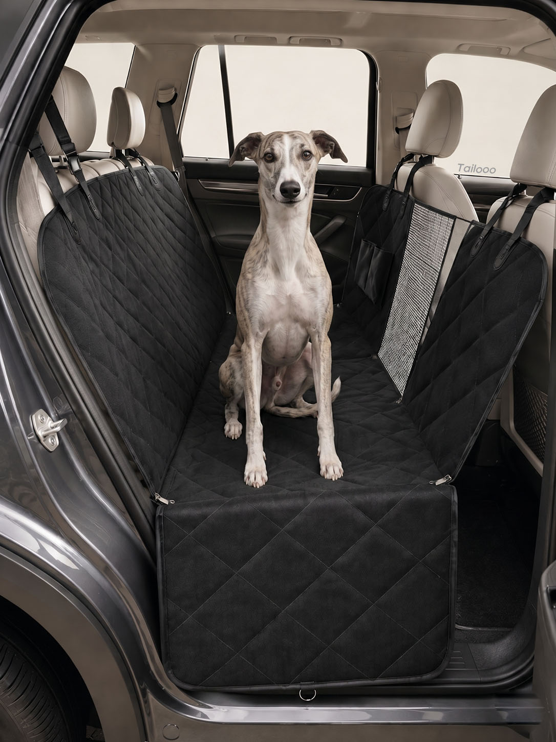 Whippet sitting upright on a padded dog safety seat car, providing a secure and comfortable space for pets during car rides.