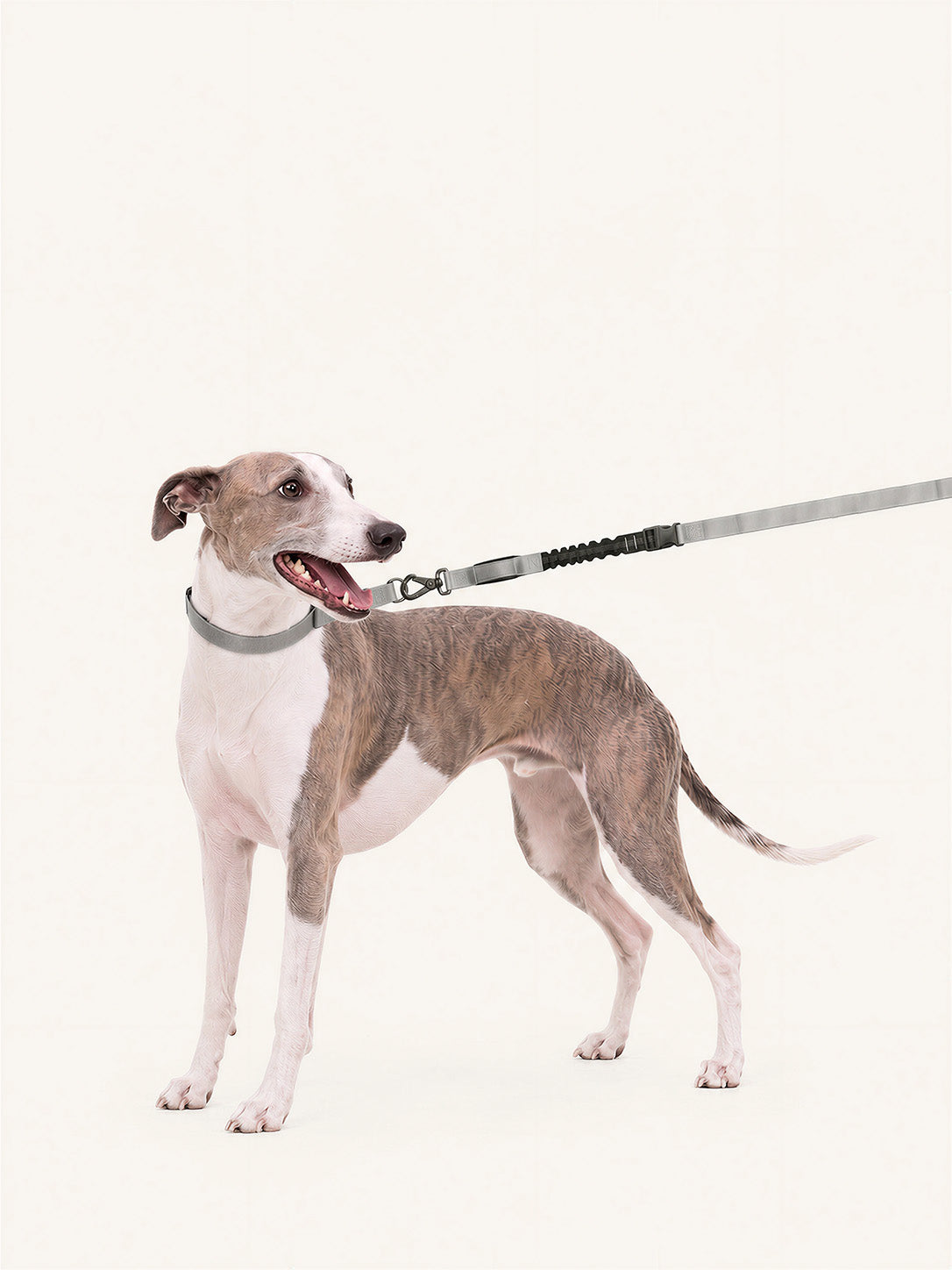 Ridge Leash · Slate Secondary image